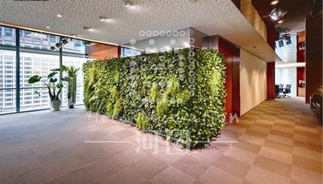 办公室绿化设计之植物融合