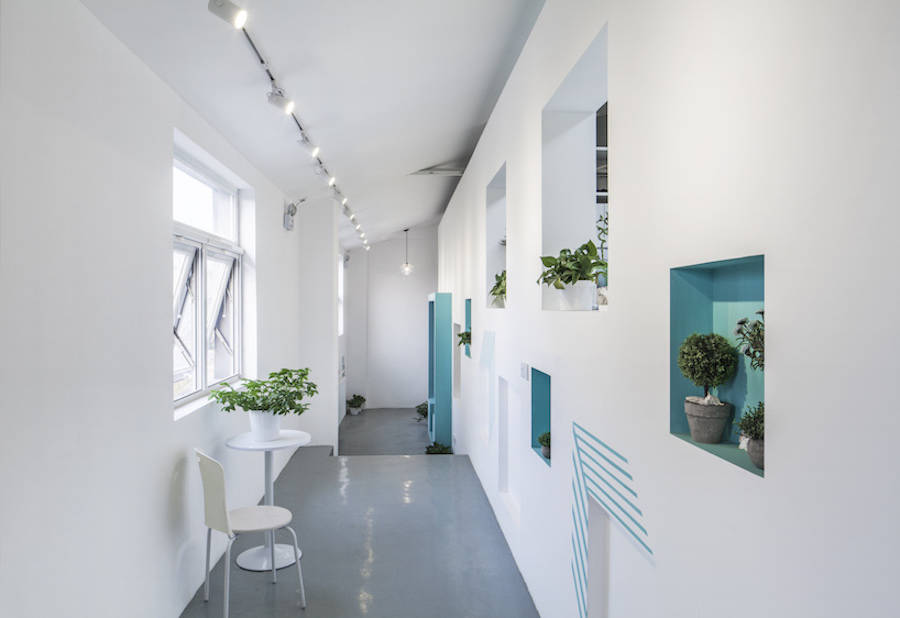 用绿色植物点缀的办公室设计